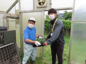 大崎町での花苗受け渡し